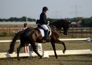 caballero concours galop